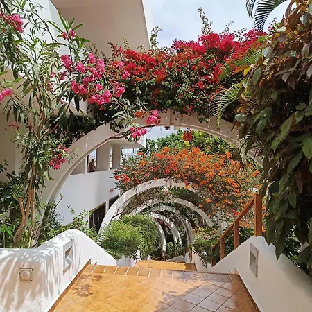 29 Parque Royal Costa Adeje (Tenerife)
